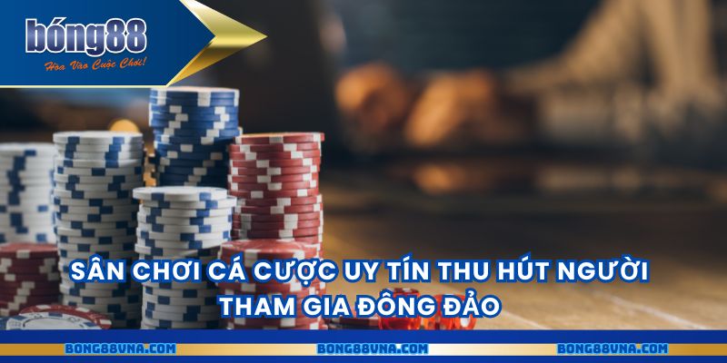 Sân chơi cá cược uy tín thu hút người tham gia đông đảo