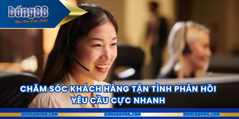 Chăm sóc khách hàng tận tình phản hồi yêu cầu cực nhanh