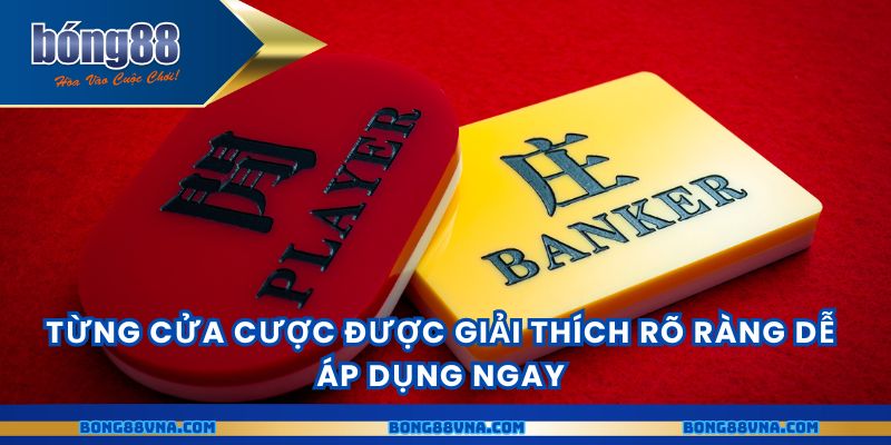 Từng cửa cược được giải thích rõ ràng dễ áp dụng ngay