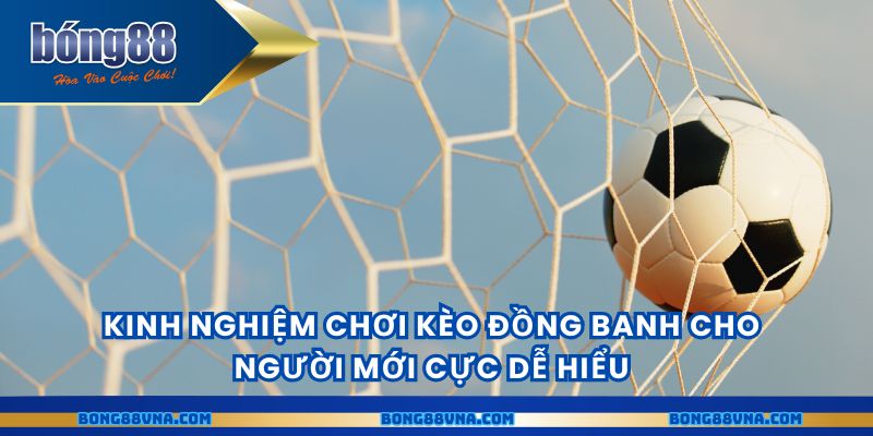 Kinh nghiệm chơi kèo đồng banh cho người mới cực dễ hiểu