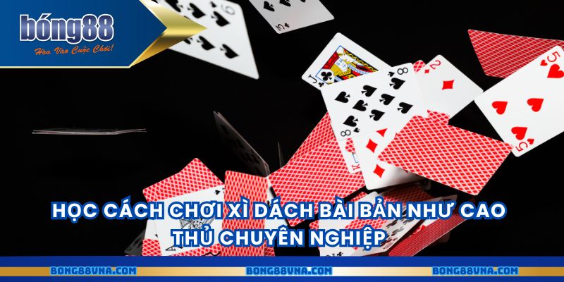 Học cách chơi xì dách bài bản như cao thủ chuyên nghiệp