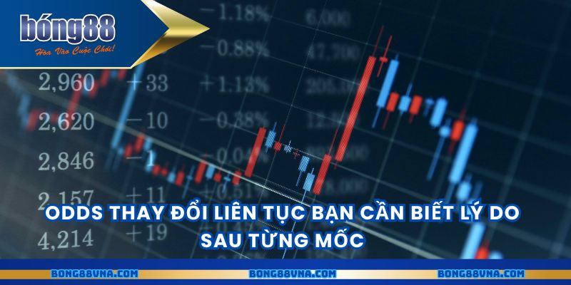 Odds thay đổi liên tục bạn cần biết lý do sau từng mốc