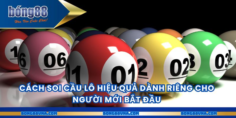 Cách soi cầu lô hiệu quả dành riêng cho người mới bắt đầu