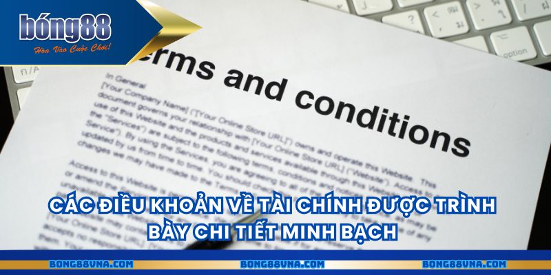 Các điều khoản về tài chính được trình bày chi tiết minh bạch