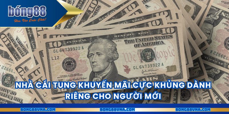 Nhà cái tung khuyến mãi cực khủng dành riêng cho người mới