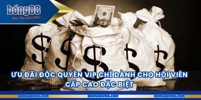 Ưu đãi độc quyền VIP chỉ dành cho hội viên cấp cao đặc biệt